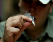 Marijuana As A Safer Choice